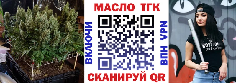Купить где Аргун ТГК концентрат