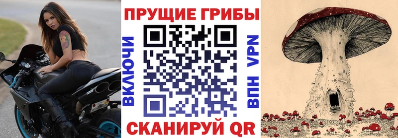 Купить закладки  Аргун  Псилоцибиновые грибы Psilocybine cubensis 