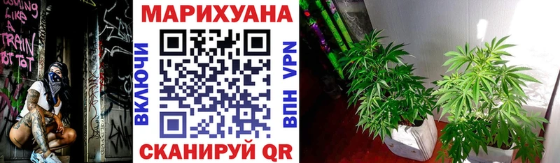 Бошки Шишки THC 21%  Купить где  Аргун 